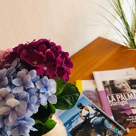 El Brezal Breña Alta