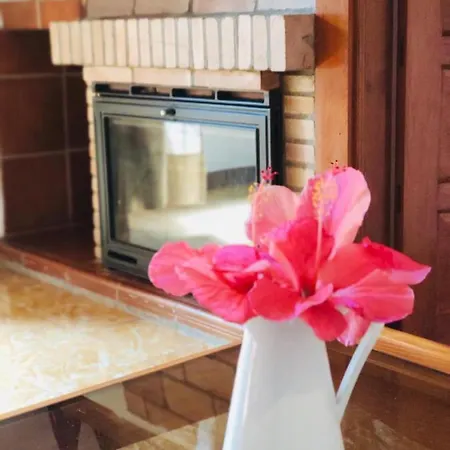 El Brezal Holiday home Brena Alta